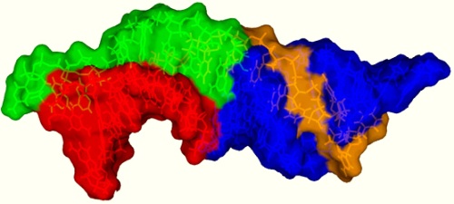 Структура псевдоузла РНК-компонента теломеразы человека